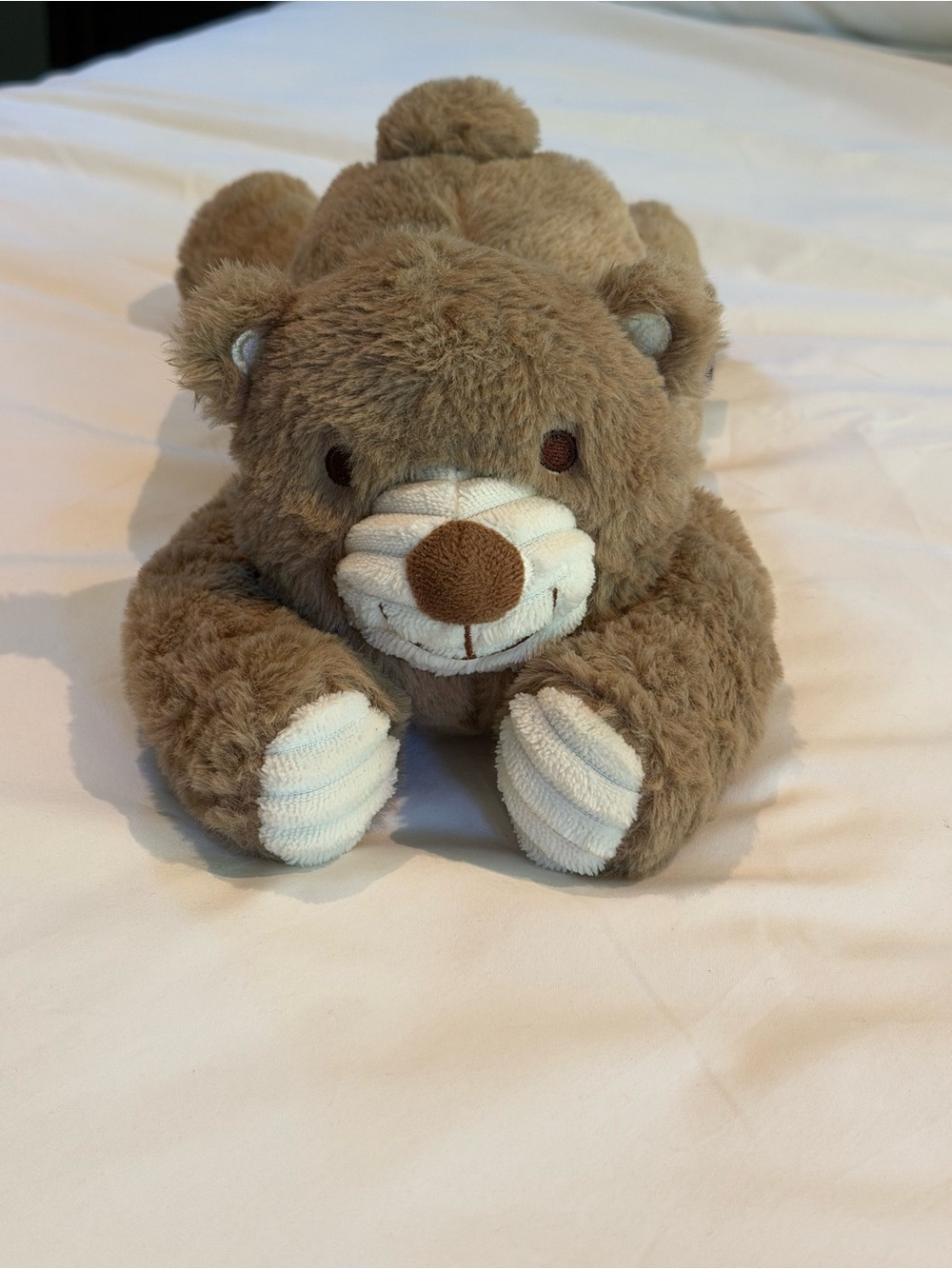 DOG Plush Brown Bear Holding Red Heart LIKE NEW!